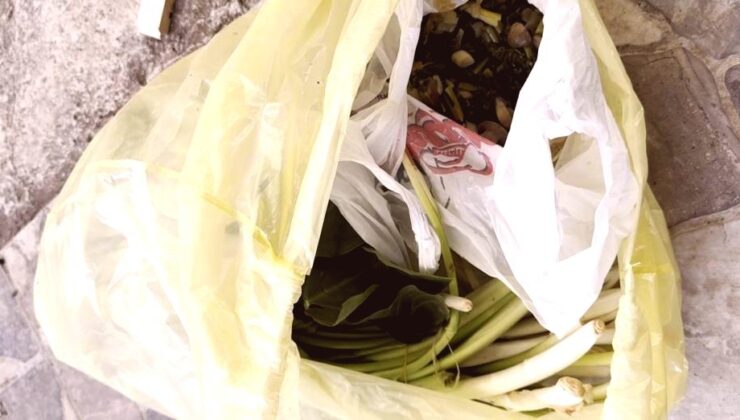 Pazardan Alınan Pazı Zehirli Çıktı: Bir Çiftin Hayatı Tehlikeye Girdi