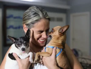 Japonya’da İnsan ve Köpekler İçin Ortak Lezzetler Pazarda