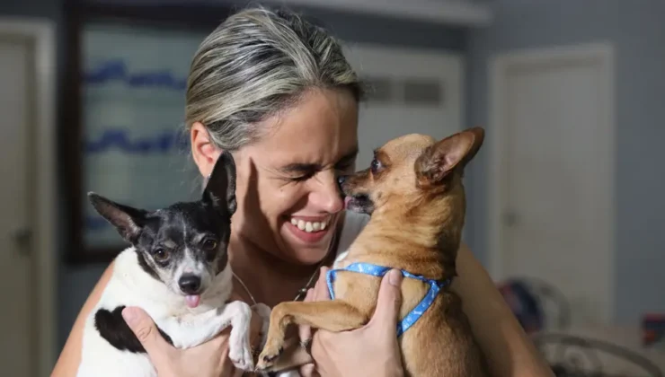 Japonya’da İnsan ve Köpekler İçin Ortak Lezzetler Pazarda