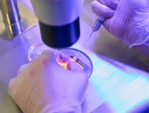 İnfertilite Tedavisinde Devrim: Gözden Kaçan Yumurtaları Ortaya Çıkaran Yenilikçi Teknoloji