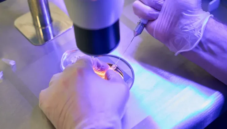İnfertilite Tedavisinde Devrim: Gözden Kaçan Yumurtaları Ortaya Çıkaran Yenilikçi Teknoloji