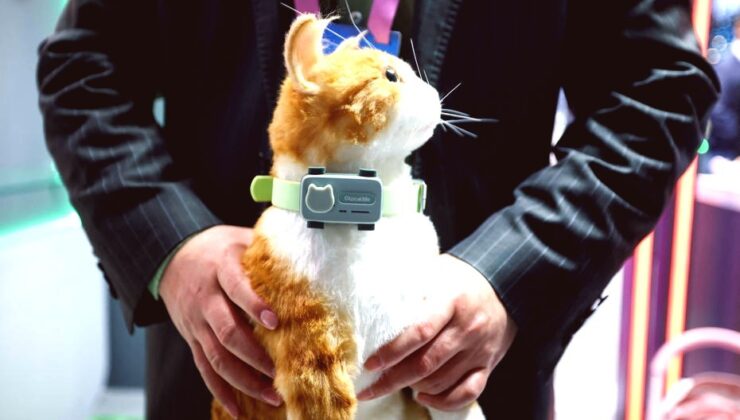 Evcil Hayvanlar İçin Çift Yönlü İletişim ve Konum Takip Cihazı Tanıtıldı