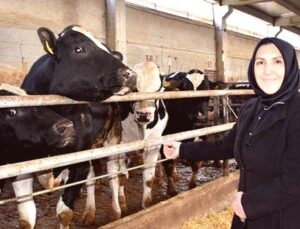 Ev Hanımlığından Çiftlik Patronluğuna: Devlet Desteğiyle 900 Hayvanlık Dev Bir İş Kurdu