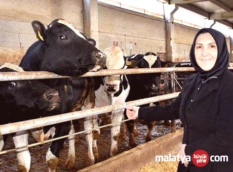 Ev Hanımlığından Çiftlik Patronluğuna: Devlet Desteğiyle 900 Hayvanlık Dev Bir İş Kurdu