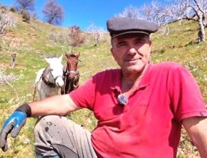 Günlük 8 Bin TL’ye Çalışacak Eleman Bulunamıyor: Tarımda Atla Çalışma Devri Sona mı Eriyor?