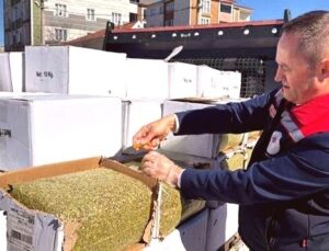 Bayramlık Baklava Fıstığı Tehlikesi: 2 Ton Aflatoksinli Ürün Ele Geçirildi