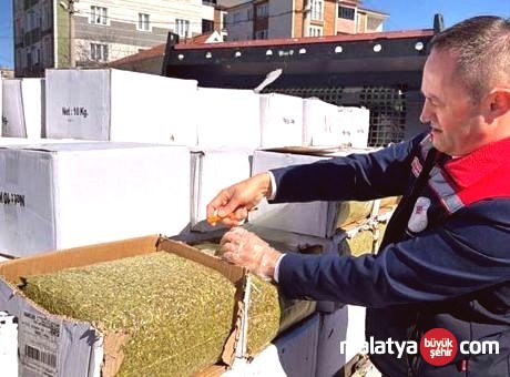 Bayramlık Baklava Fıstığı Tehlikesi: 2 Ton Aflatoksinli Ürün Ele Geçirildi