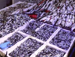 Balık Bolluğu Yaşanırken Ramazan ve Bayram Satışları Düşüşe Geçti