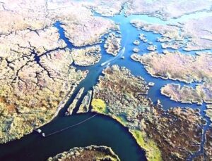 Muğla’nın Gizemli Labirenti: Dalyan Kanalı Havadan Büyülüyor