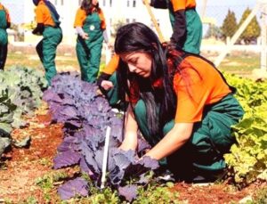Çukurova’da Tarımın Geleceği Bu Lisede Şekilleniyor