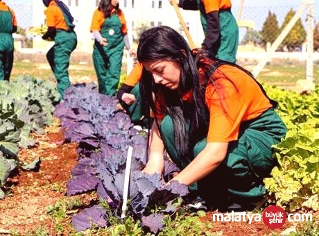 Çukurova’da Tarımın Geleceği Bu Lisede Şekilleniyor