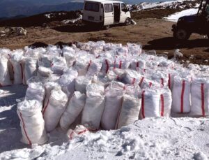 Madran Dağı’nın Zirvesinden Yazın Soğuk Lezzeti: Kar Helvasının Sırrı