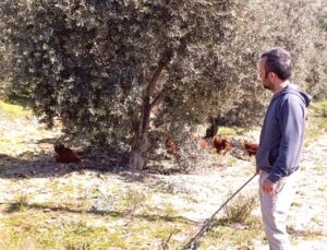 Artan Kiralar Köy Hayatına Dönüşü Tetikledi: Üretimle Hem Geçiniyor Hem Kazanıyor