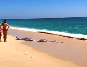 Kıyamet Balığı Efsanesi Canlandı: İki Dev Kürek Balığı Sahilde Görüldü