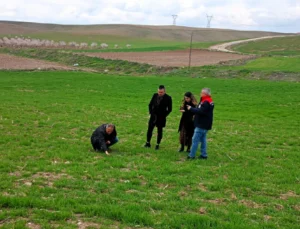 Boyaca’da Tarımsal Verimlilik İçin Teknik Destek