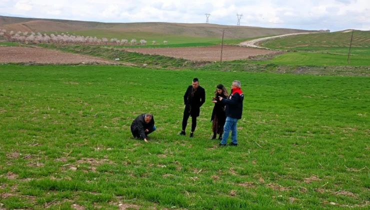 Boyaca’da Tarımsal Verimlilik İçin Teknik Destek