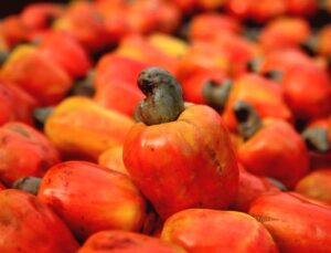 Nöroloji Uzmanından Beyni Gençleştiren Beslenme ve Yaşam Önerileri