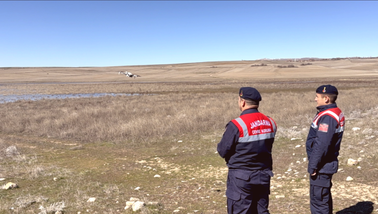 Jandarma, Flamingolar İçin 24 Saat Görevde: Drone ile Gözlem Sürüyor