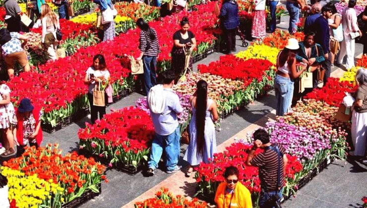 San Francisco Lale Günü’nde Binlerce Çiçeği Ücretsiz Dağıttı