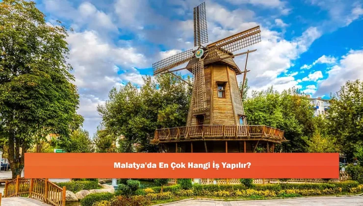 Malatya’nın Ekonomik Haritası: En Çok Hangi Sektörler Öne Çıkıyor?