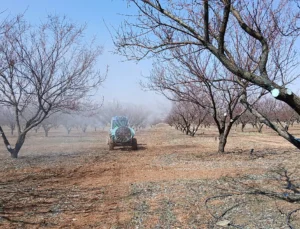 Malatya Kayısısında İlaçlama Dönemi Başladı, Hava Koşulları Üreticiyi Zorluyor