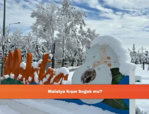 Malatya’da Kış Mevsimi: Sert Koşullar ve Değişken Yağışlar