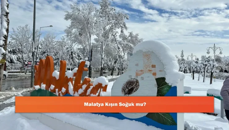 Malatya’da Kış Mevsimi: Sert Koşullar ve Değişken Yağışlar