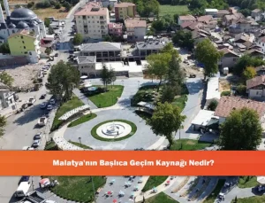 Malatya Ekonomisi: Kayısı Merkezli Çeşitli Sektörlerin Güçlü Bileşimi