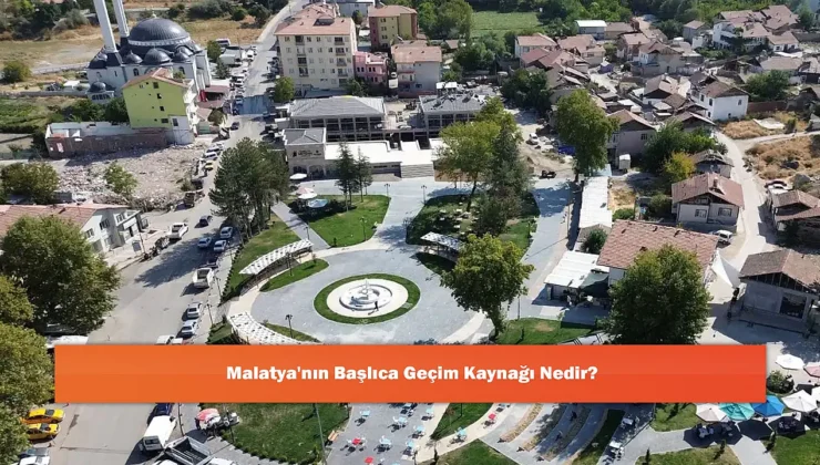Malatya Ekonomisi: Kayısı Merkezli Çeşitli Sektörlerin Güçlü Bileşimi
