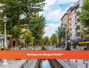 Malatya’nın Kimliği: Kayısıdan Tarihe Uzanan İzler