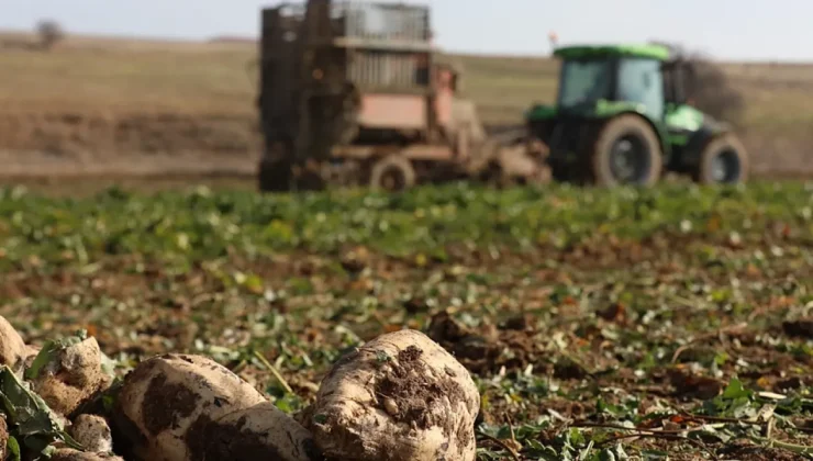 TÜRKŞEKER’den 166 Günlük Başarılı Kampanya: Üretim Rakamları Açıklandı