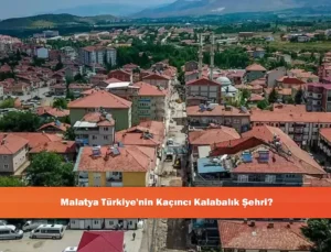 Malatya’nın Nüfus Sıralamasındaki Yeri ve Değişim Dinamikleri