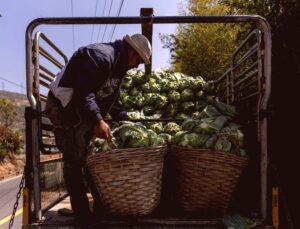 Tayland’da Lahanaların Altından Tonlarca Uyuşturucu Çıktı