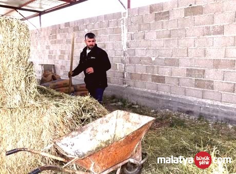Besiciye 80 Bin TL Maaşa Rağmen Çoban Bulmak Zor