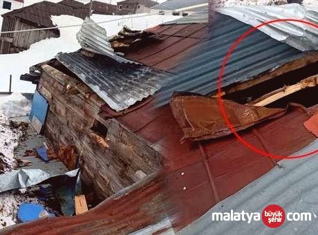 Yaylada Ayı Paniği: Çatıdan Girdiği Evde Tahribat Yarattı