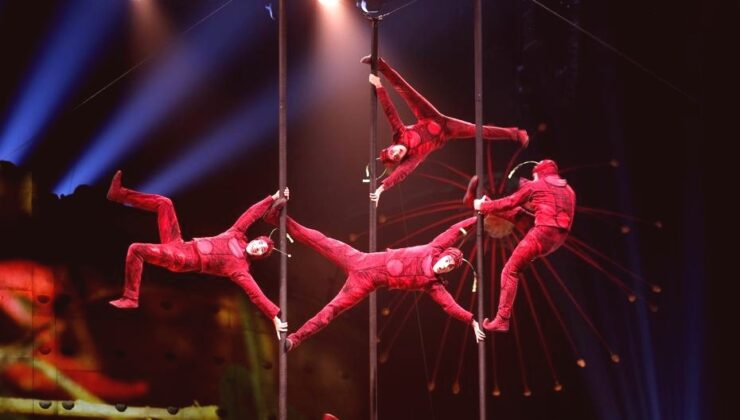 Cirque du Soleil 10 Yıl Sonra İstanbul’da “OVO” Gösterisiyle Sahne Alacak