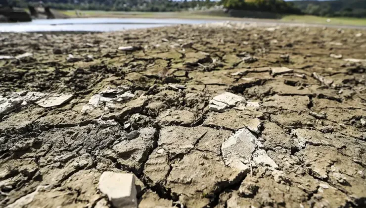 Avrupa’da İklim Krizi Vahim Boyutta: Kıtada Rekor Sıcaklıklar ve Buzul Kaybı