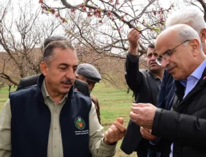 Malatya’da Dolu Afeti: Sami Er Hasar Tespit Çalışmalarını Başlattı