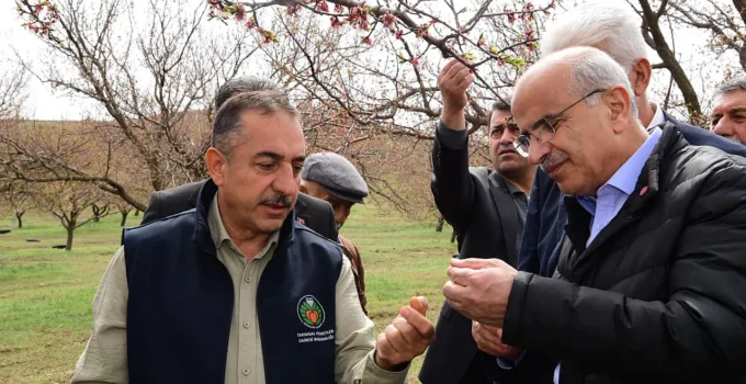 Malatya’da Dolu Afeti: Sami Er Hasar Tespit Çalışmalarını Başlattı