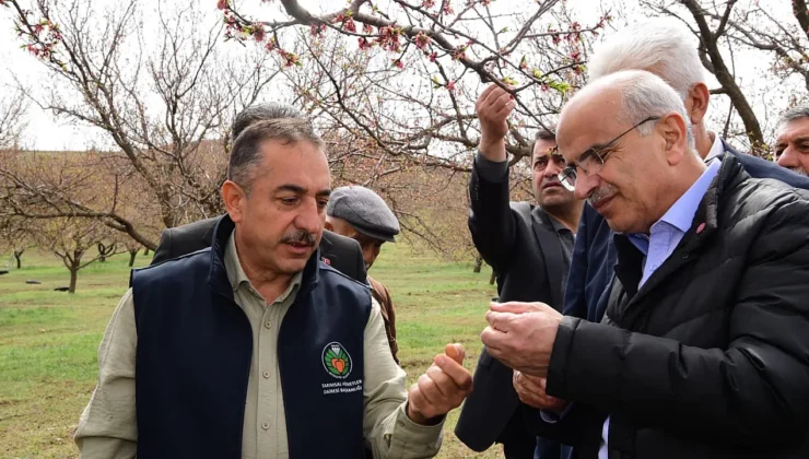 Malatya’da Dolu Afeti: Sami Er Hasar Tespit Çalışmalarını Başlattı