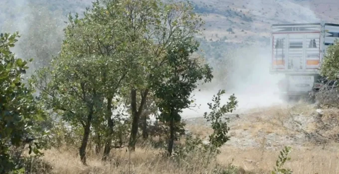 Doğanşehir’de Maden Projesi İptal Edildi: Doğa Kazandı