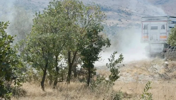 Doğanşehir’de Maden Projesi İptal Edildi: Doğa Kazandı