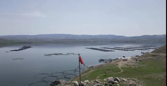 Malatya Su Ürünlerinde Rekor Üretim: 7 Bin 500 Ton Alabalık Ekonomiye Katkı Sağlıyor