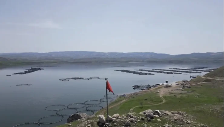 Malatya Su Ürünlerinde Rekor Üretim: 7 Bin 500 Ton Alabalık Ekonomiye Katkı Sağlıyor