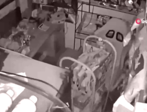 Endonezya Sarsıldı: 7.4 Büyüklüğünde Deprem, Tsunami Uyarısı