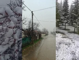 Sürgü’de Kayısılar Don Tehlikesiyle Karşı Karşıya
