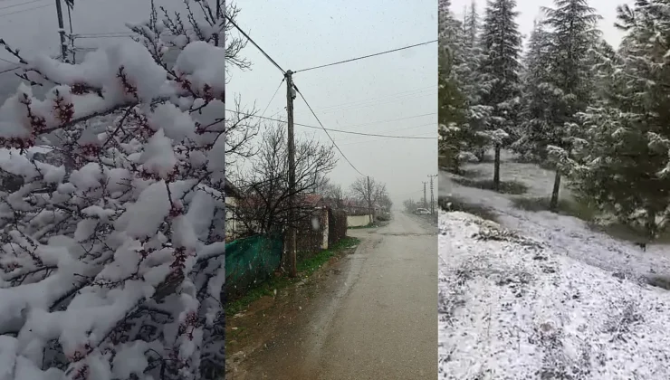 Sürgü’de Kayısılar Don Tehlikesiyle Karşı Karşıya