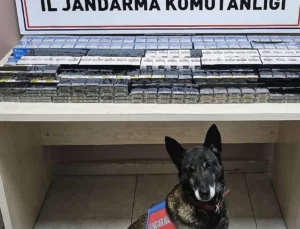 Malatya Yolu’nda Kaçak Sigara Sevkiyatına Jandarma Darbesi