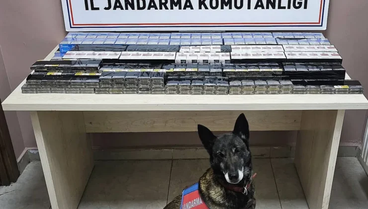 Malatya Yolu’nda Kaçak Sigara Sevkiyatına Jandarma Darbesi