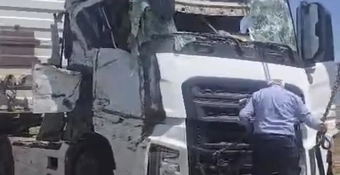 Arapgir’de Hayvan Yüklü Tır Devrildi: 100 Küçükbaş Hayvan Telef Oldu, Sürücü ve Çoban Yaralı